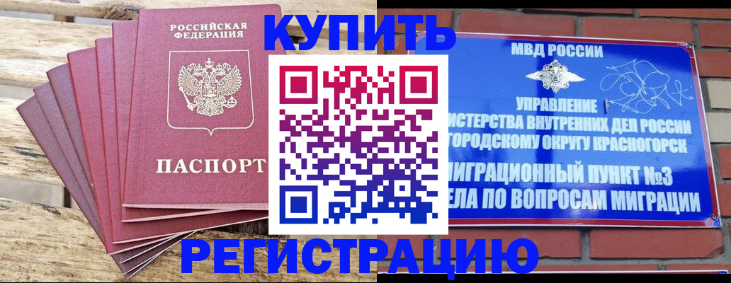 прописка 2025 в Няндоме